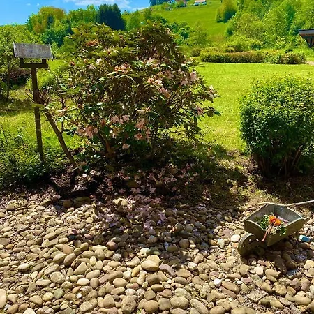 Ferienwohnung Guenter Im Tonbachtal شقة بيرسبرون